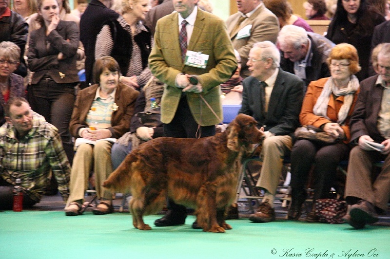 Crufts2011_2 010.jpg